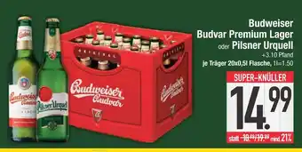 Edeka Budweiser budvar premium lager oder pilsner urquell Angebot