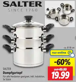 Lidl SALTER Dampfgartopf Angebot