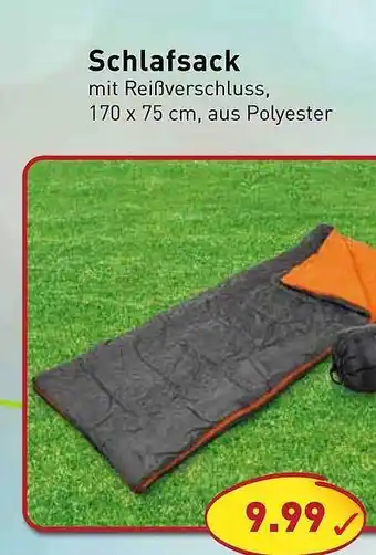 PicksRaus Schlafsack Angebot