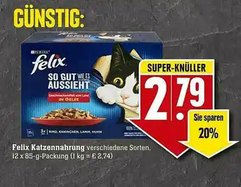 Scheck-in-Center Felix Katzennnahrung Angebot