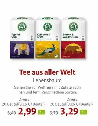 VollCorner Biomarkt Tee Aus Aller Welt Angebot