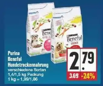 Edeka Purina Beneful Hundetrockennahrung Angebot