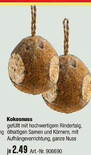 Hellweg Kokosnuss Angebot