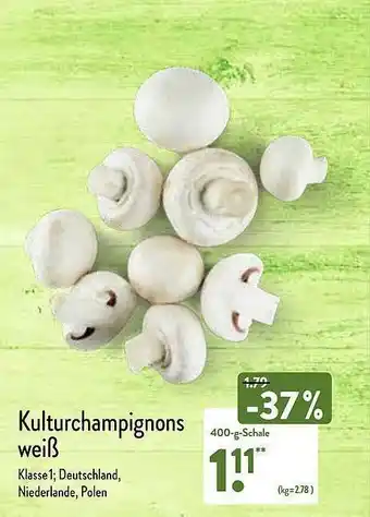 Aldi Nord Kulturchampignons Weiß Angebot