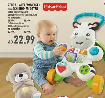 Marktkauf Zebra-laufernwagen Oder Schlummer-ortter Fisher-price Angebot