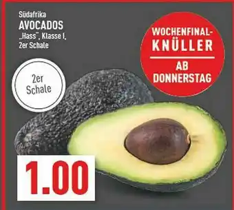 Marktkauf Südafrika Avocados Angebot