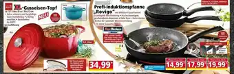 Norma Casa Royale Xl-gusseisen-topf Carreta Profi-induktionspfanne „rovigo” Angebot