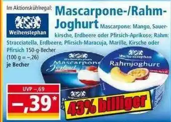 Norma Mascarpone- Rahm- Joghurt Angebot