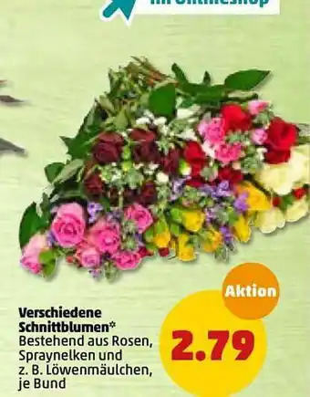 PENNY Verschiedene Schnittblumen Angebot