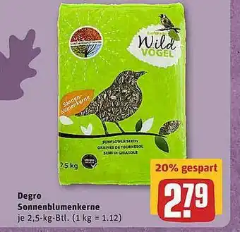 REWE Degro Sonnenblumenkerne Angebot