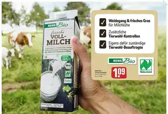 REWE Rewe Bio Frische Vollmilch Angebot