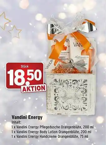 Wasgau Vandini Energy Angebot