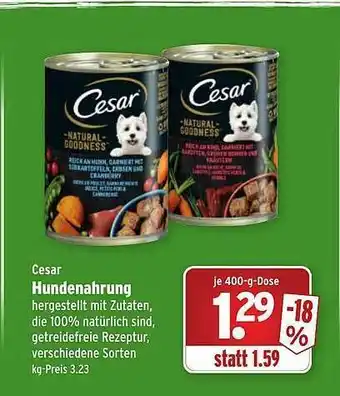 Wasgau Cesar Hundenahrung Angebot