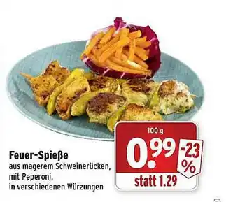 Wasgau Feuer-spieße Angebot