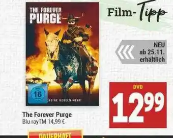 Marktkauf The Foreber Purge Angebot