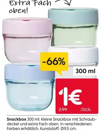 Rusta Snackbox Angebot