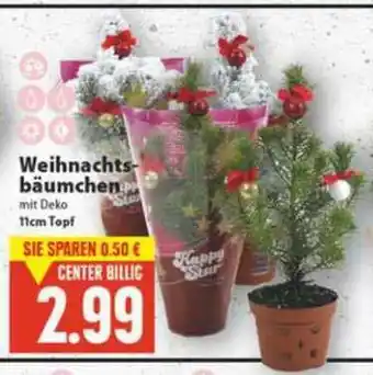 E-Center Weihnachtsbäumchen Angebot