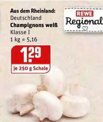 REWE Kaufpark Champignons Weiß Angebot