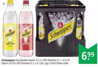 Marktkauf Schweppes Angebot