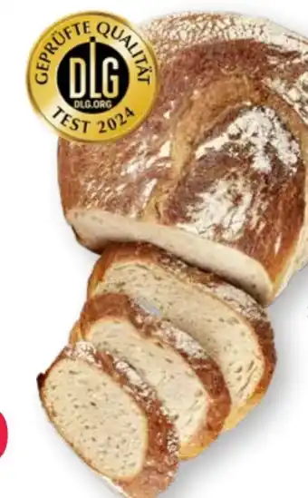 Scheck-in-Center Gründerbrot Angebot
