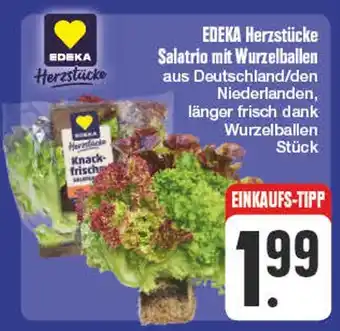 Edeka Edeka herzstücke salatrio mit wurzelballen Angebot