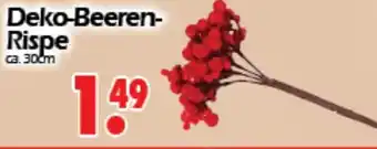 Wreesmann Deko Beeren Rispe Angebot