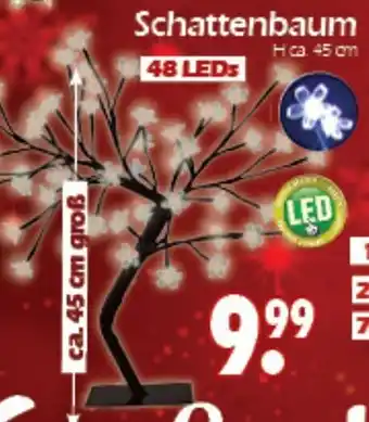 Wreesmann Schattenbaum Angebot