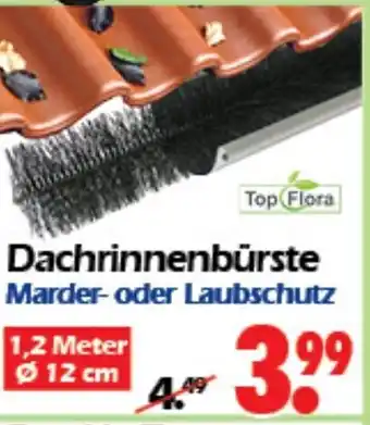 Wreesmann Dachrinnenbürste Marder oder Laubschutz Angebot