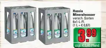 Profi Getränke Hassia Mineralwasser Angebot