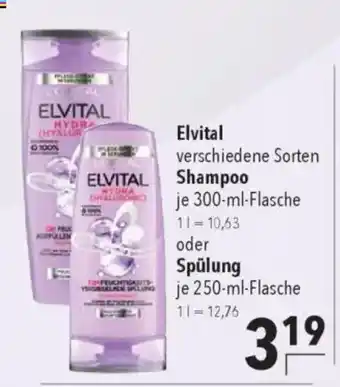 CITTI Markt ELVITAL Shampoo oder Spülung Angebot