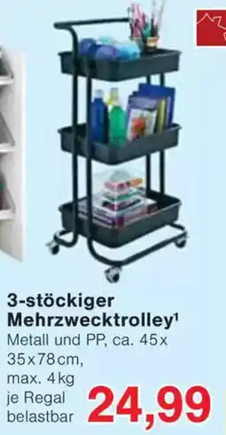 Wiglo Wunderland TIM HOME 3-stöckiger Mehrzwecktrolley Angebot