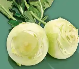 NETTO Kohlrabi Angebot