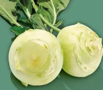 NETTO Kohlrabi Angebot