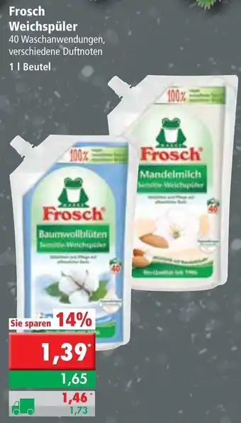 L. STROETMANN GROSSMARKT Frosch Weichspüler 1L Angebot