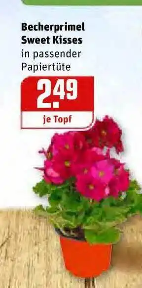 REWE Kaufpark Becherprimel Sweet Kisses Angebot