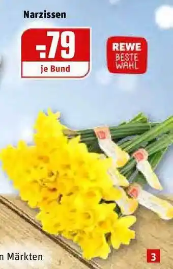 REWE Kaufpark Narzissen Angebot