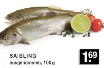 E-Center SAIBLING Angebot