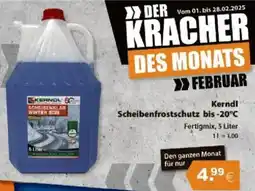 V Baumarkt Kerndl Scheibenfrostschutz bis -20°C Angebot