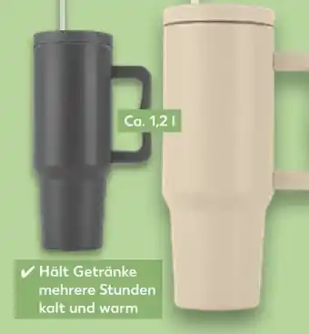 Kaufland Thermobecher Angebot