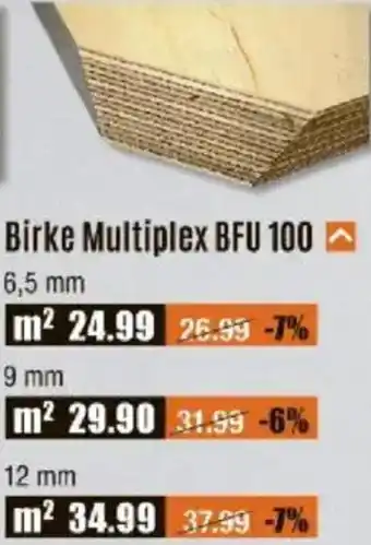 V Baumarkt Birke Multiplex BFU 100 Angebot