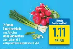 diska Lauchzwiebeln oder Radieschen 2 Bunde Angebot