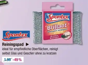 V Markt Spontex reinigunspad Angebot