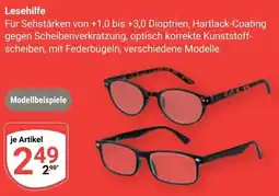 Globus Lesehilfe Angebot