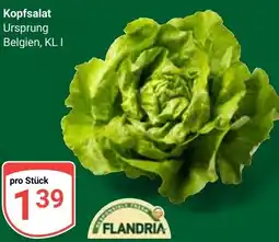 Globus FLANDRIA Kopfsalat Angebot