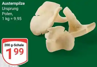 Globus Austernpilze Angebot