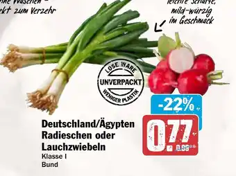 AEZ Deutschland/Ägypten Radieschen oder Lauchzwiebeln Angebot