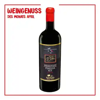 Netto Marken-Discount Torre Santa Primitivo Puglia IGT 13,0 % vol 0,75 Liter - Inhalt: 6 Flaschen Angebot