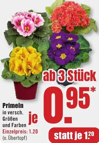 B1 Discount Baumarkt Primeln Angebot