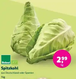 Biomarkt Bioland Spitzkohl Angebot