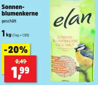 Thomas Philipps Elan Sonnenblumenkerne Angebot